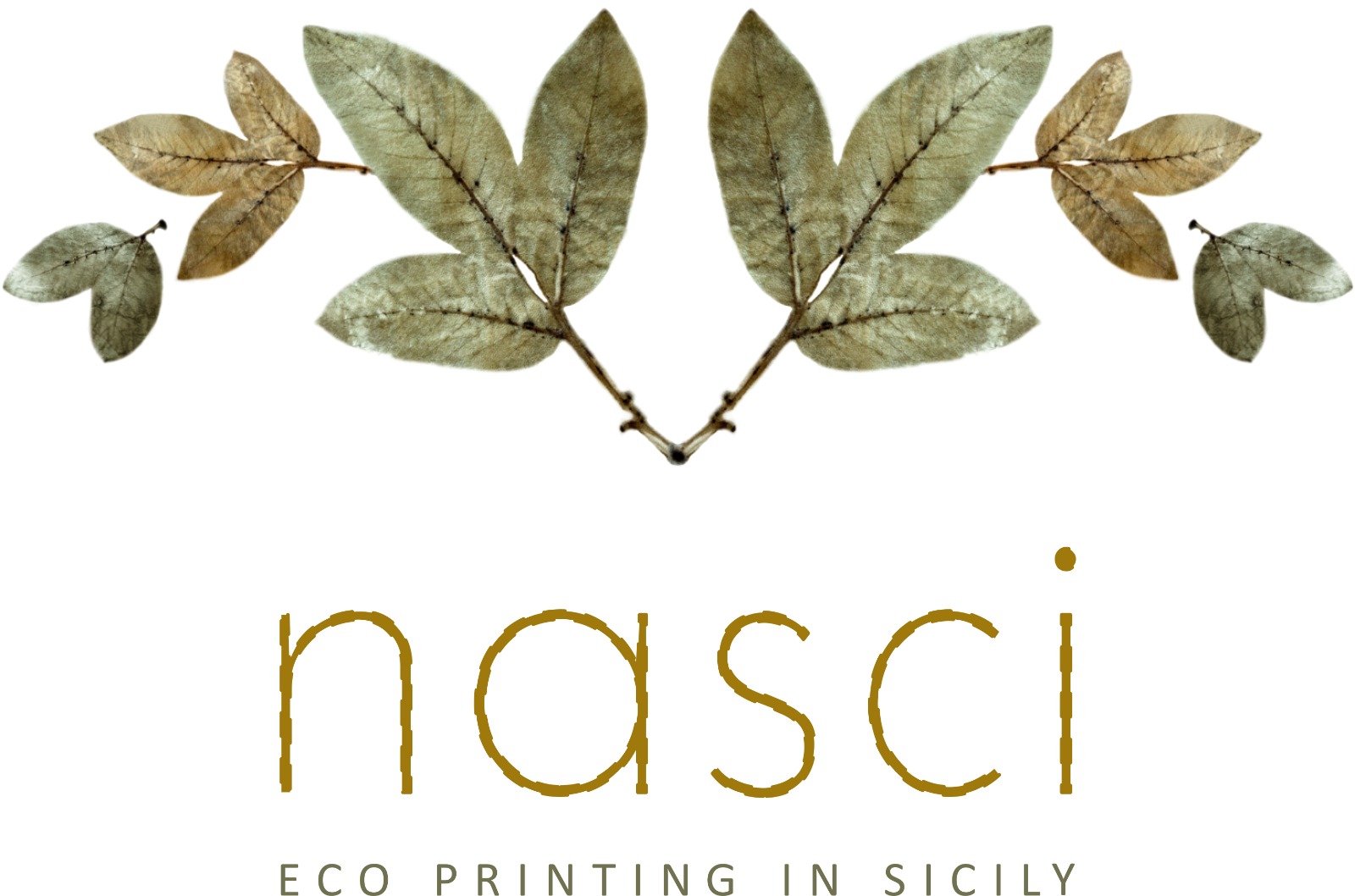 Eco printing in Sicily