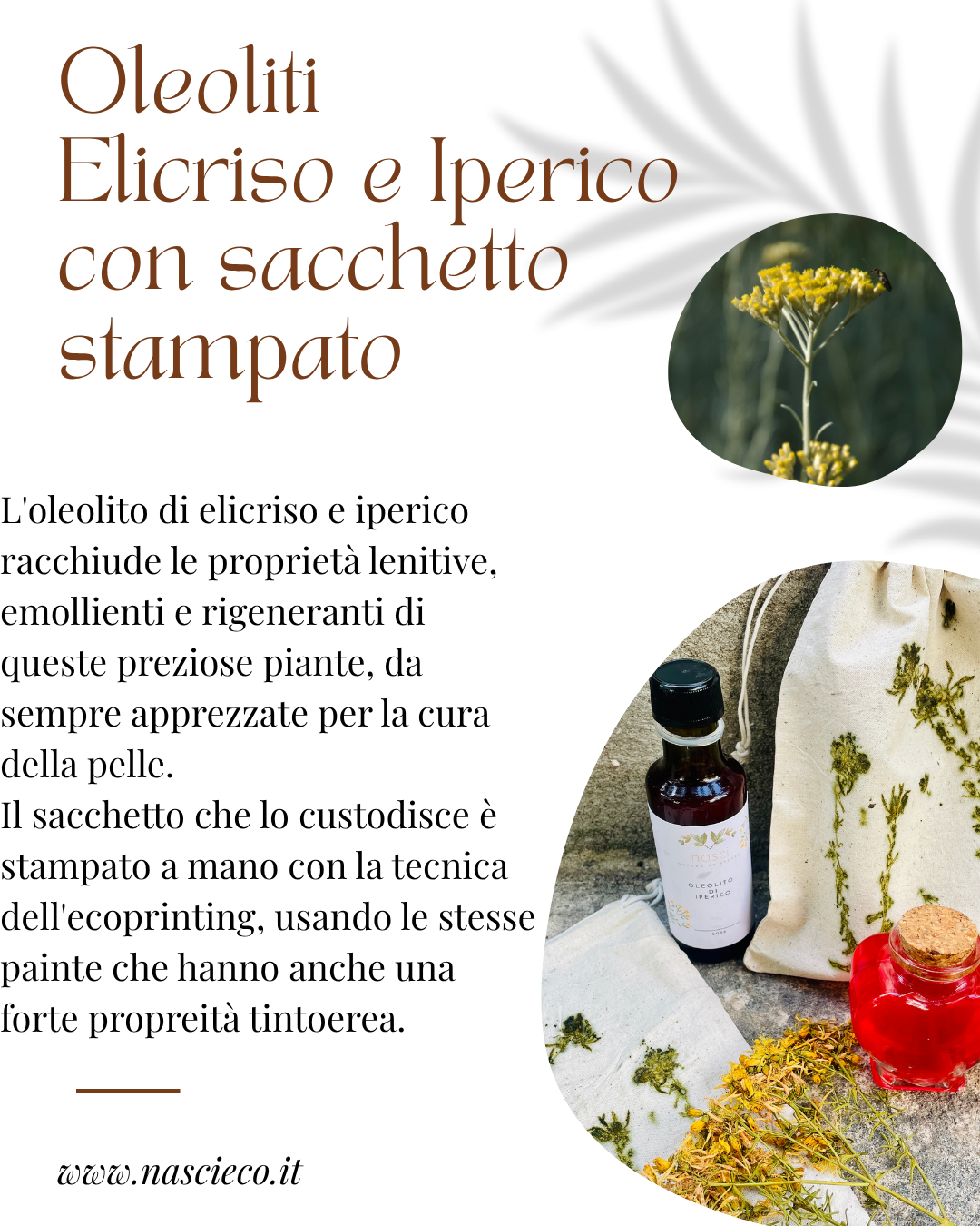 Oleoliti con sacchetto stampato